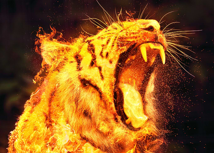 Tiger Beast