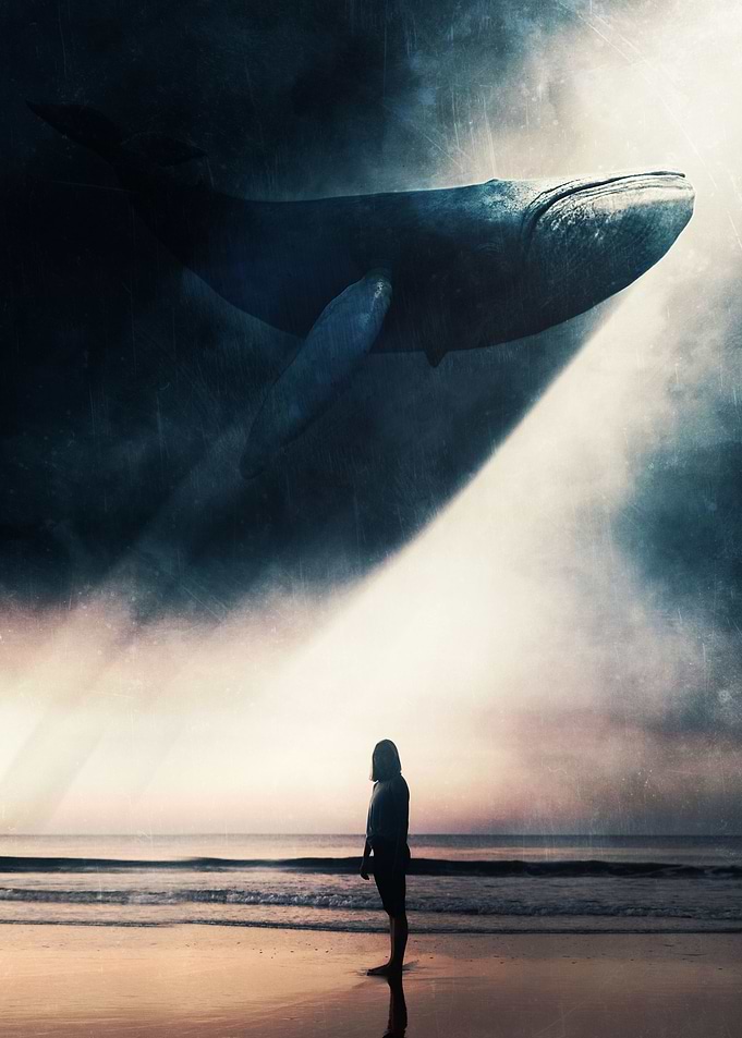 Blue Whale