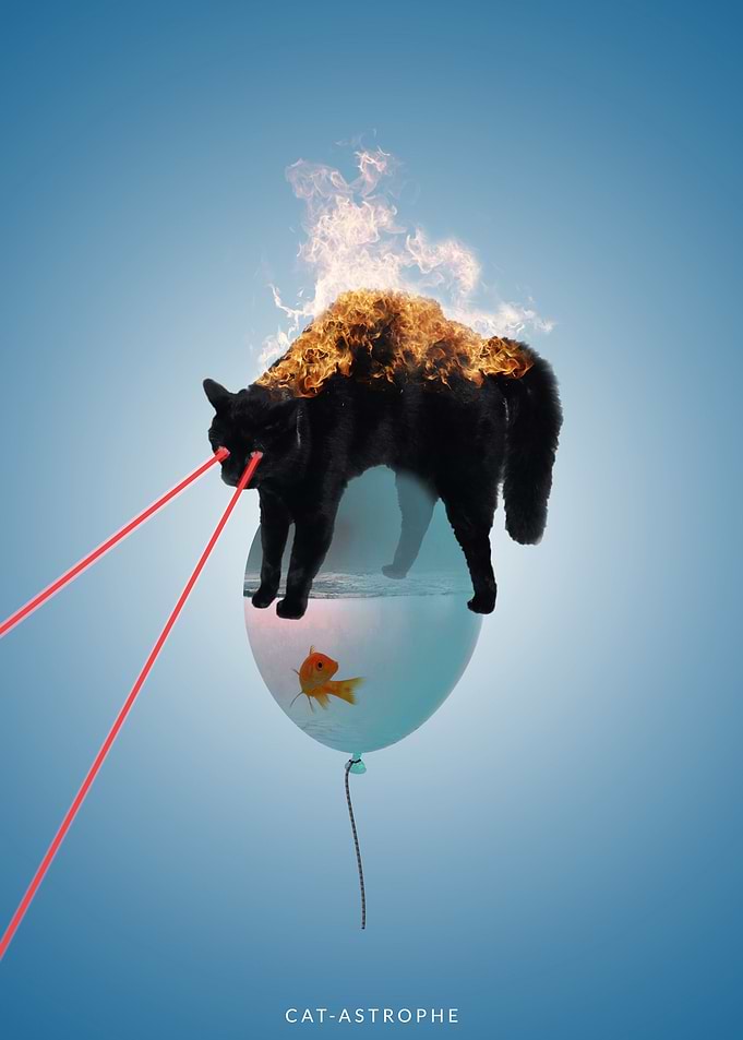 CAT-ASTROPHE
