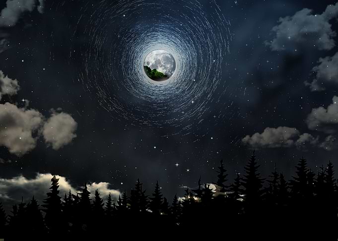 Prisoner of night
