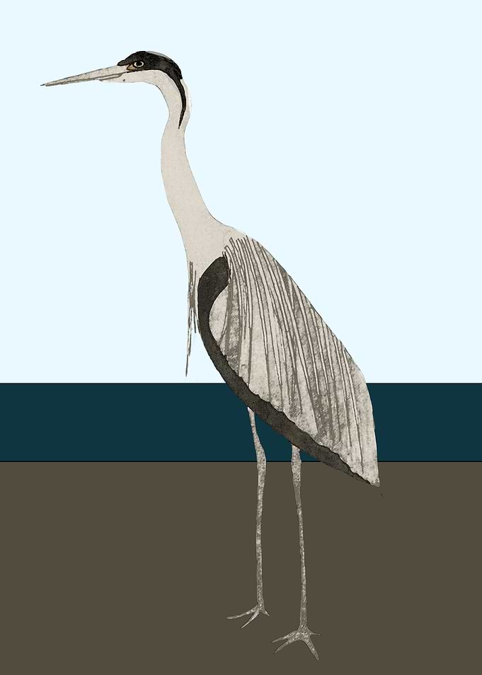 Heron