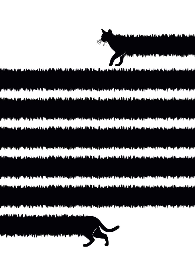 (Very) Long Mad Cat