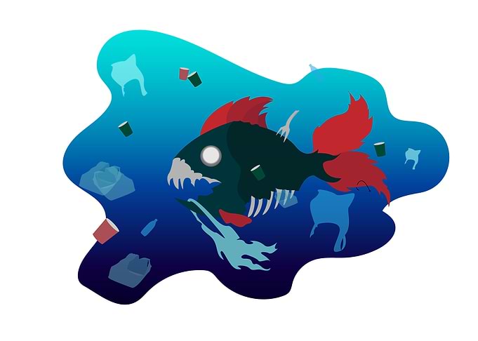 pollution ecology ecology fish ocean water plastic