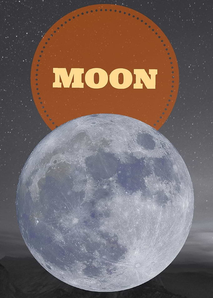 new moon is rising for you