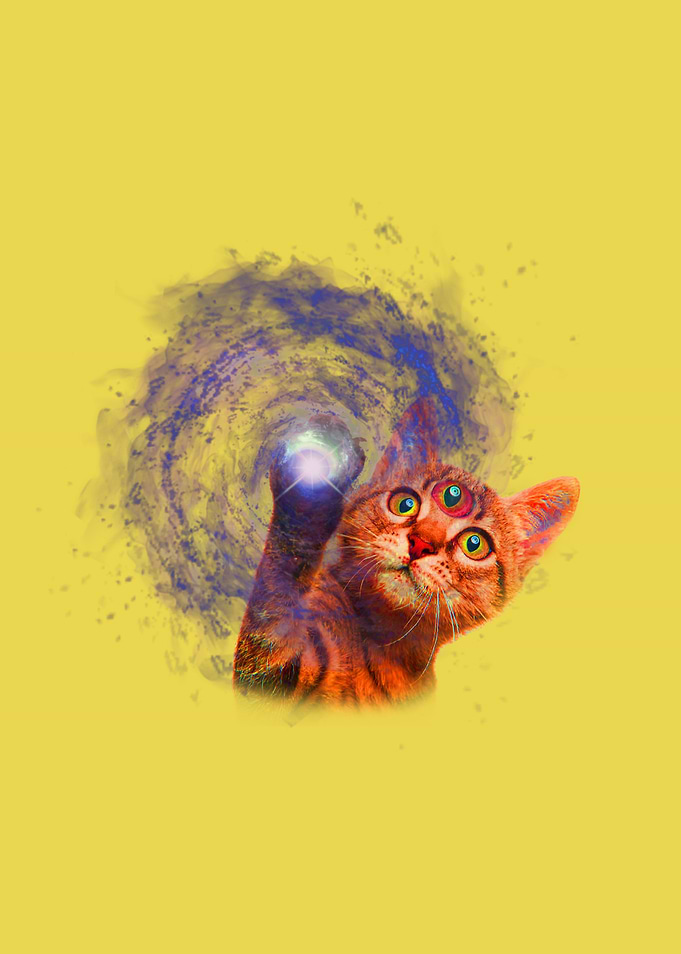 Spacer Cat