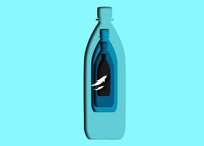 plastic contaminates water