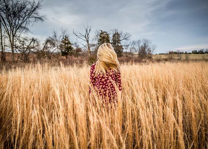 Fields of Gold