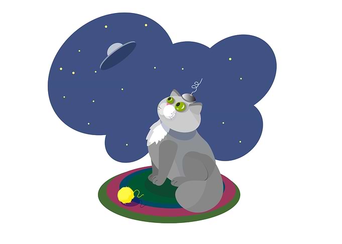 the cat is waiting for the aliens