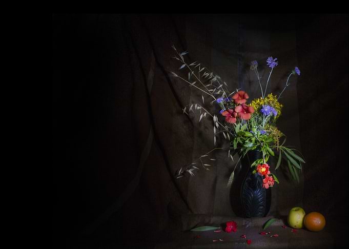 wildflowers