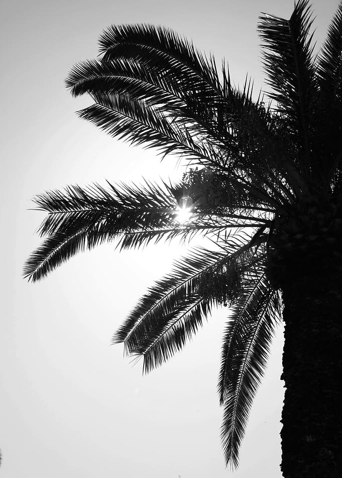 filtered light