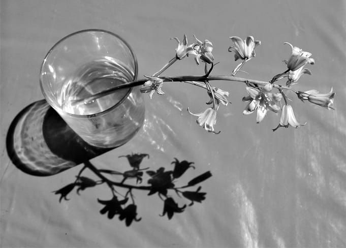 casting a shaddow