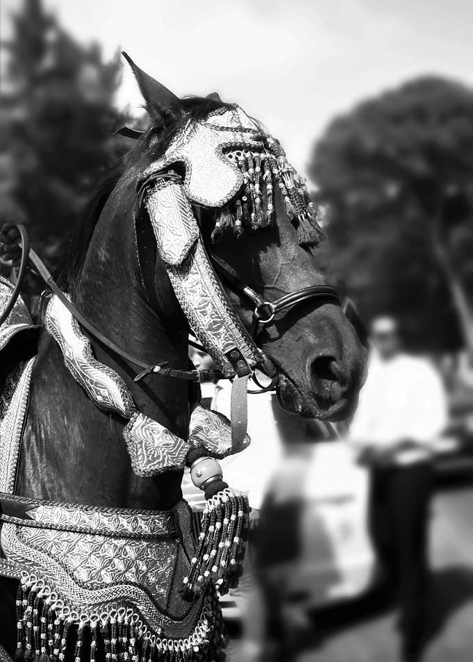 heritage