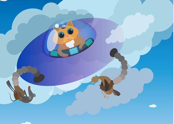 cat in a flying saucer