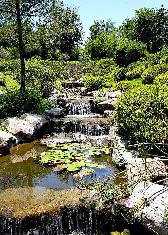 Japanese garden