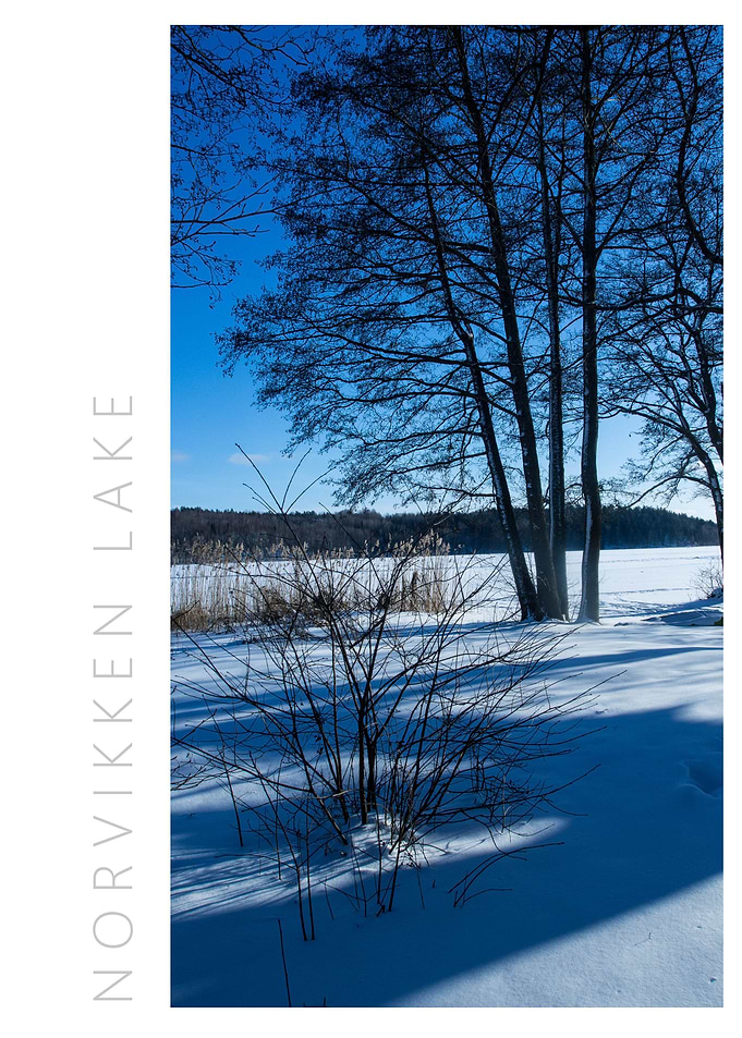 Norvikken Winter 2017 12