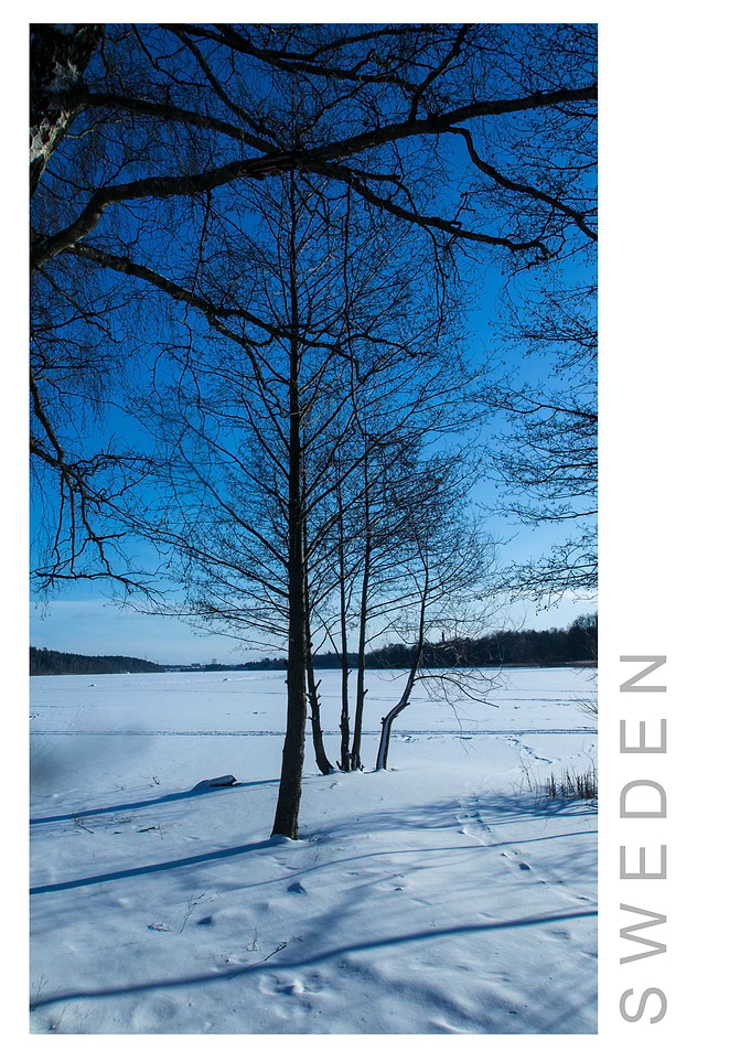 Norvikken Winter 2017 45