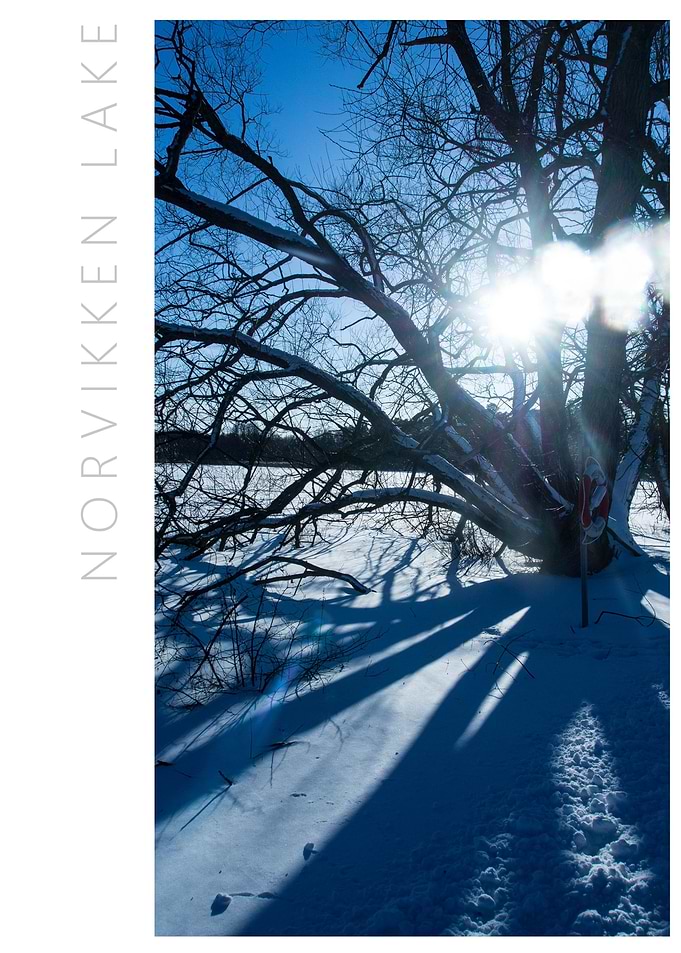 Norvikken Winter 2017 23