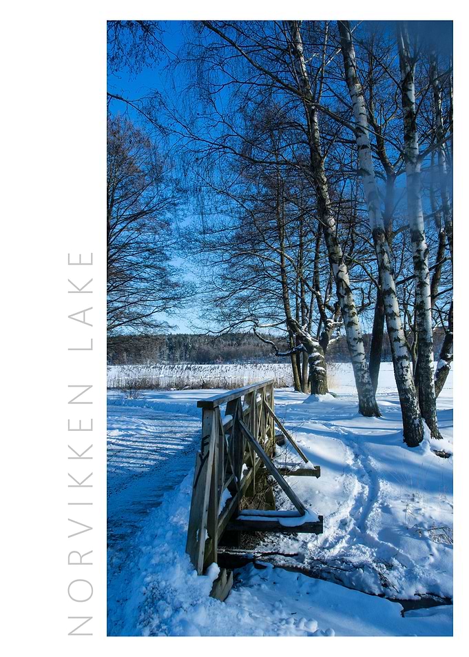 Norvikken Winter 2017 13