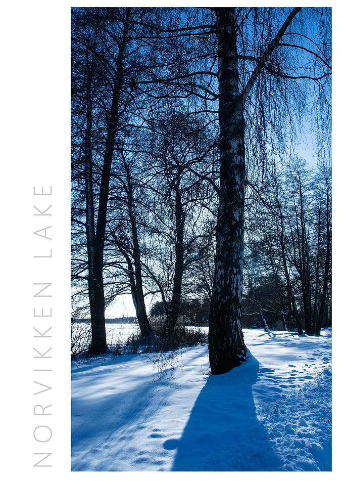Norvikken Winter 2017 8