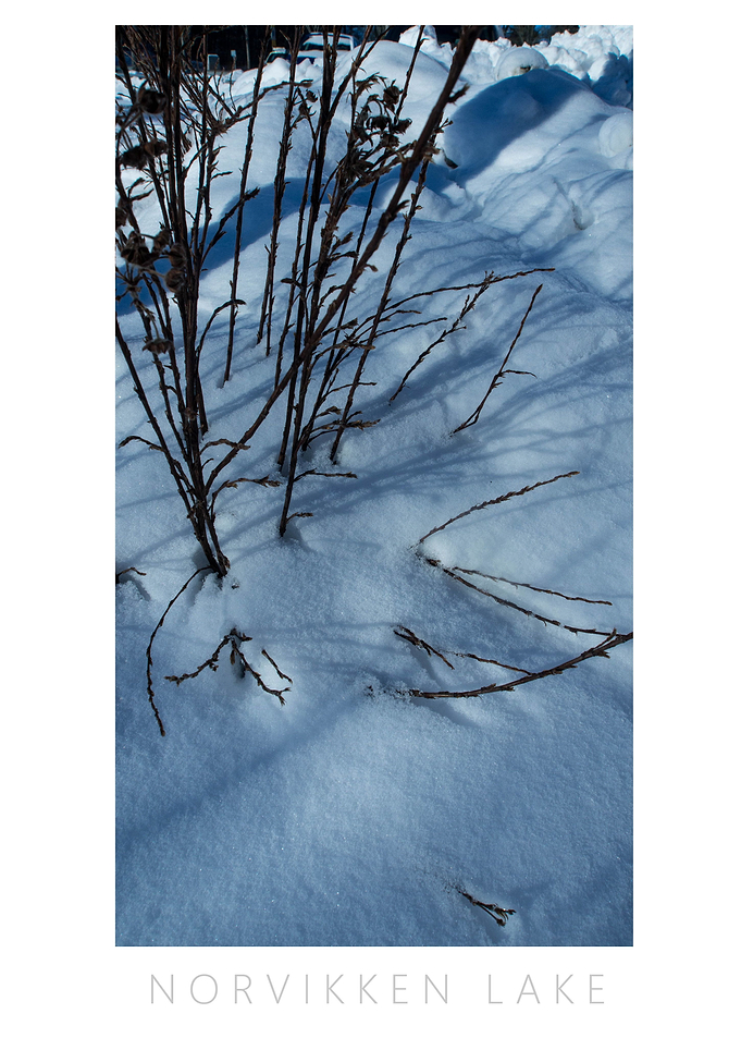 Norvikken Winter 2017 1