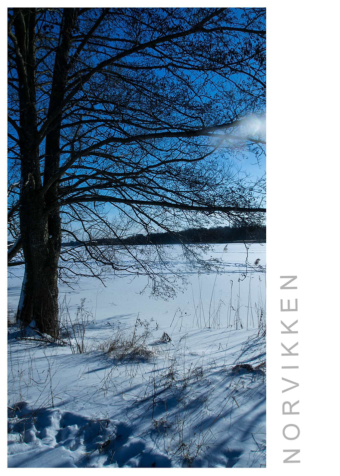 Norvikken Winter 2017 29