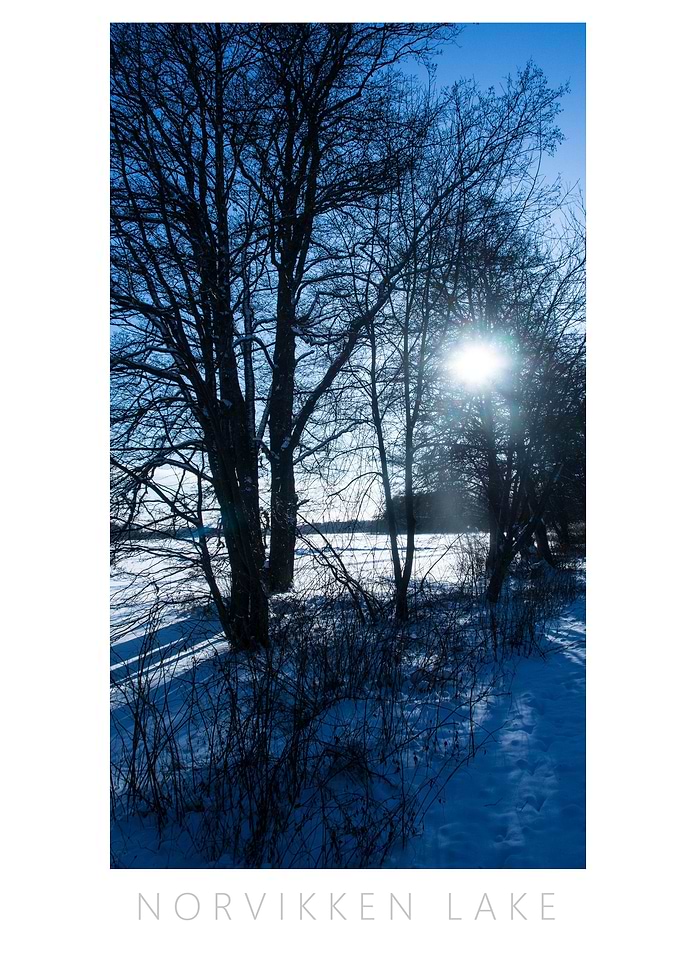 Norvikken Winter 2017 3