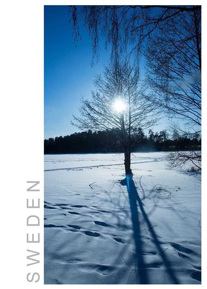 Norvikken Winter 2017 43