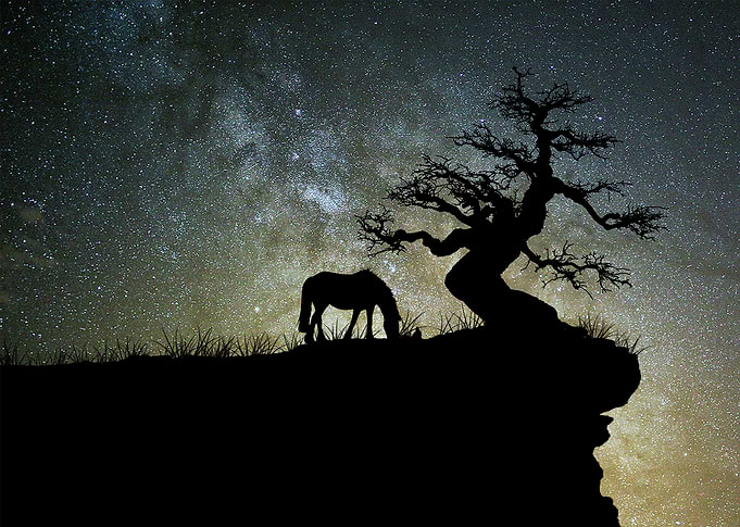 Silhouette