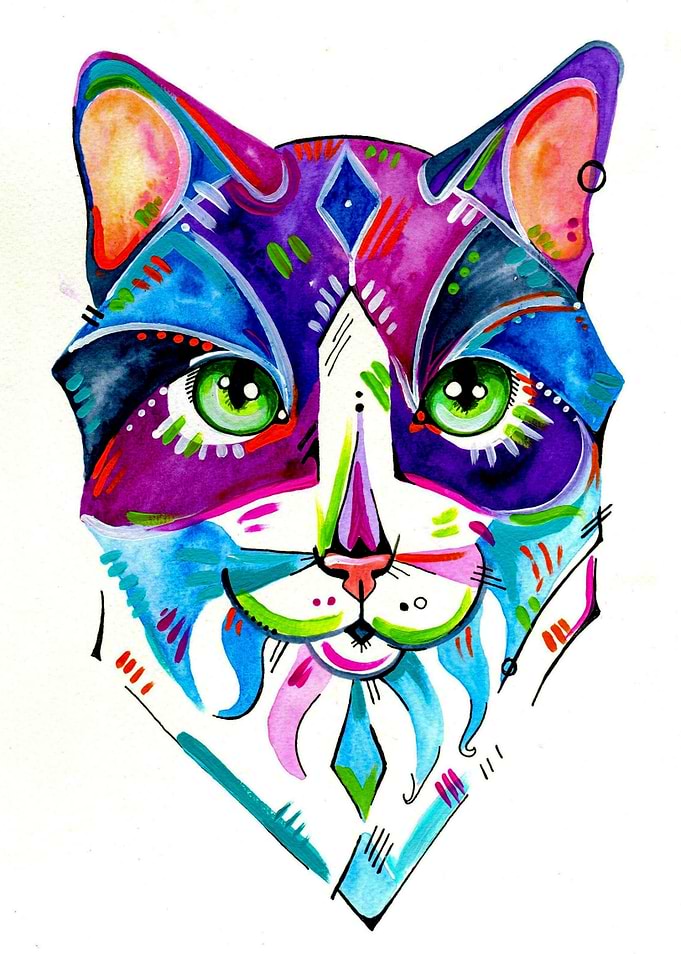 Abstract Cat 1