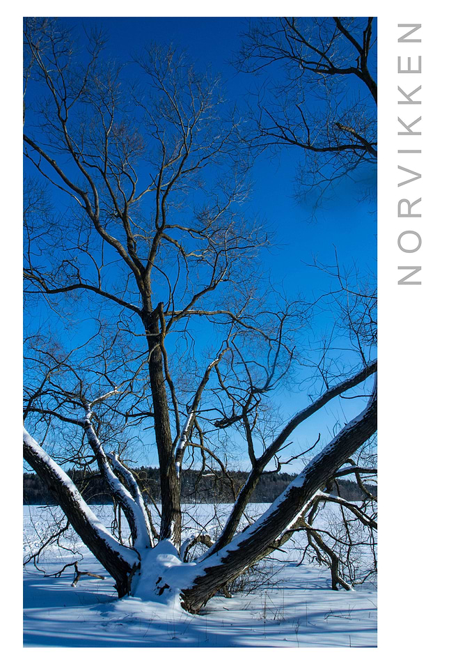 Norvikken Winter 2017 28