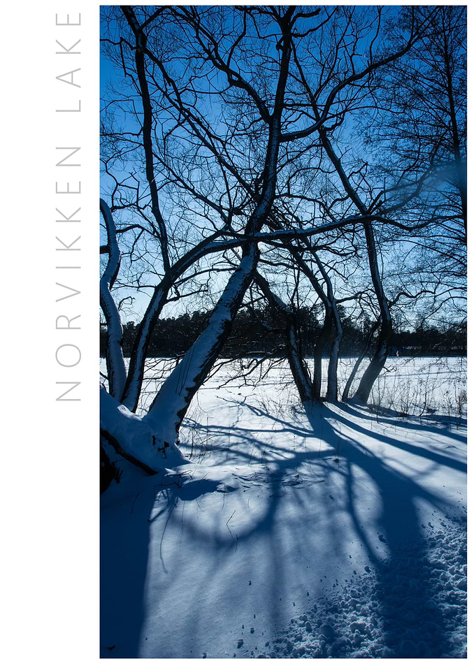 Norvikken Winter 2017 24
