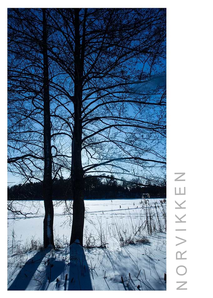 Norvikken Winter 2017 27