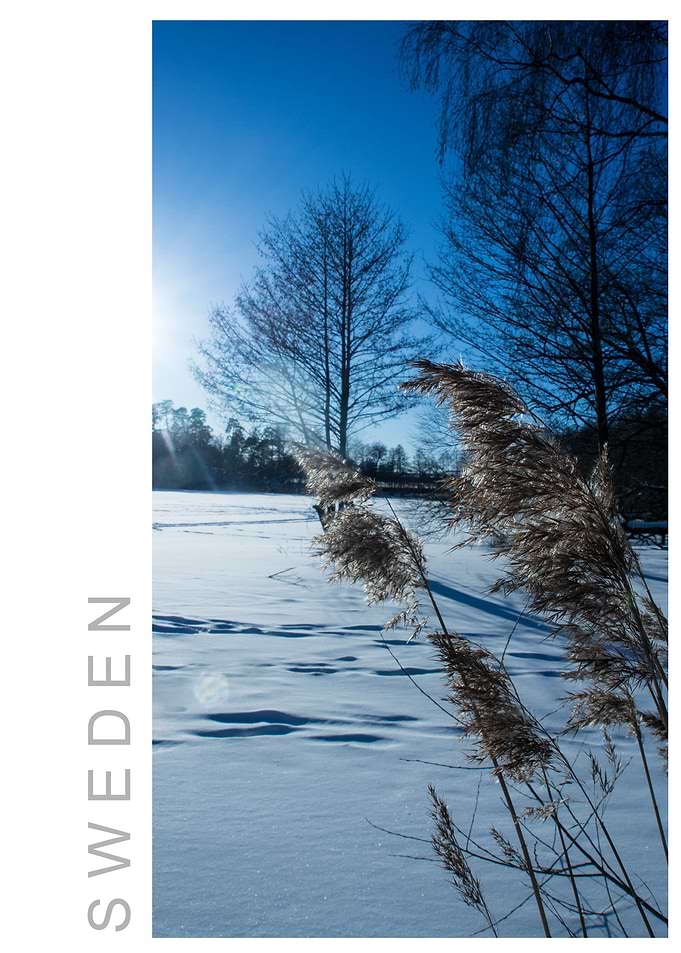 Norvikken Winter 2017 42