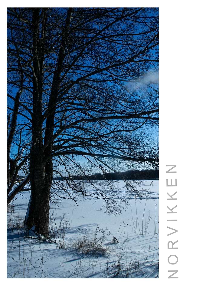 Norvikken Winter 2017 30