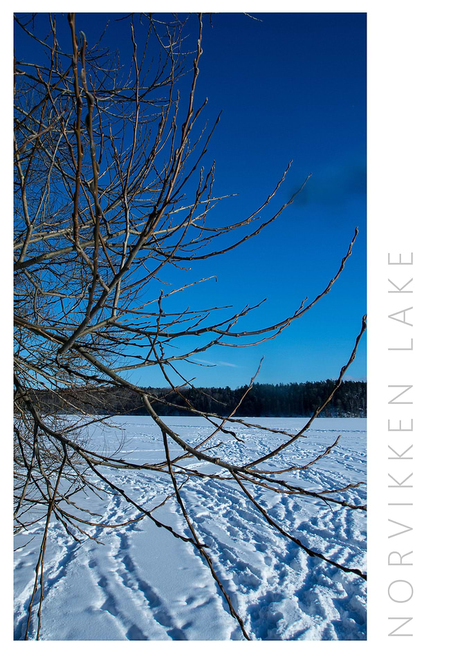 Norvikken Winter 2017 21