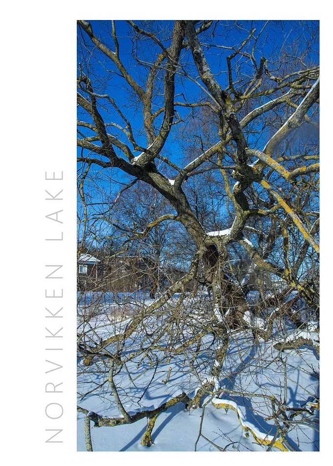 Norvikken Winter 2017 20