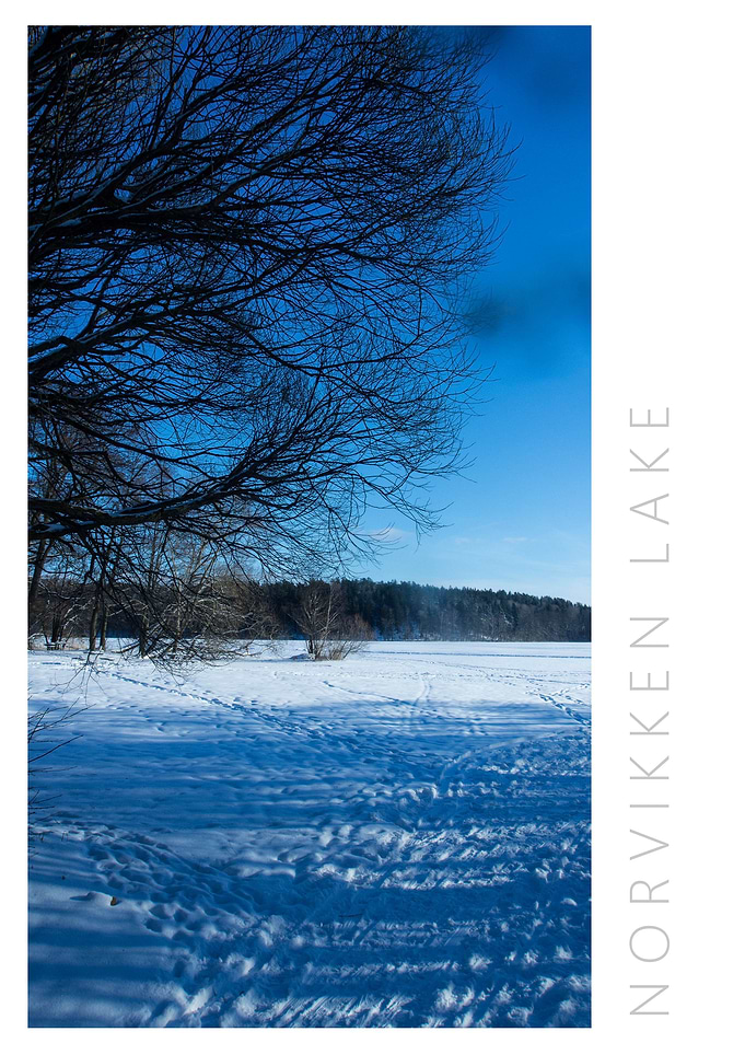 Norvikken Winter 2017 16