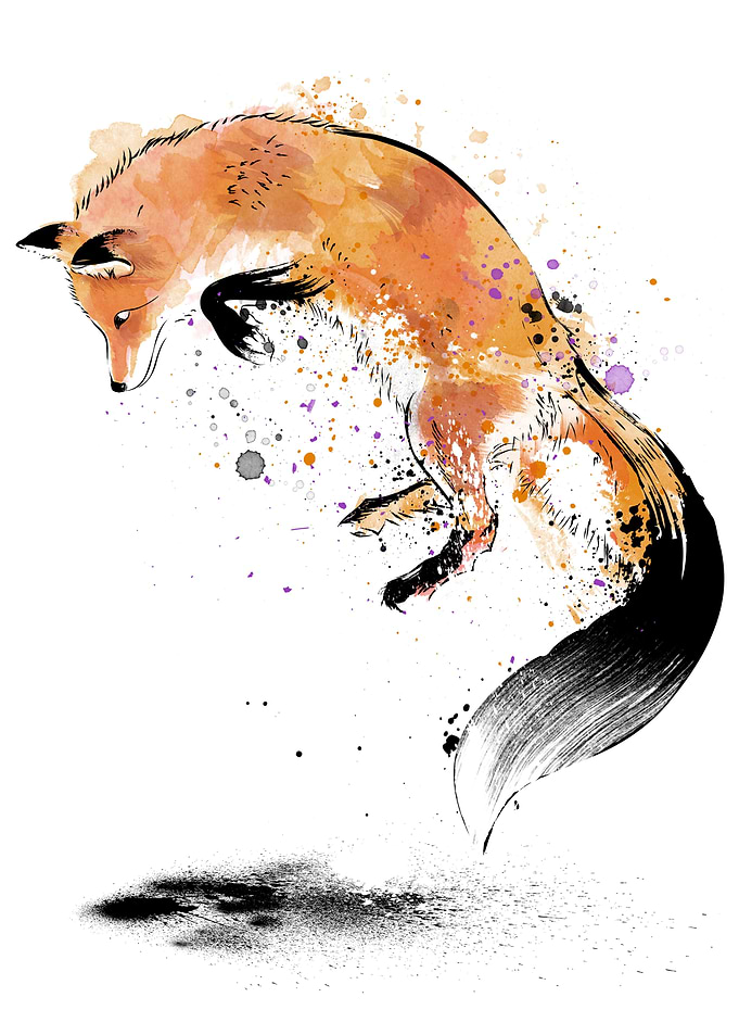 Red Fox jumping into Snow