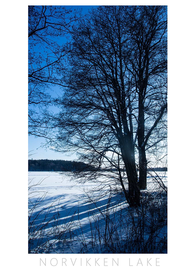 Norvikken Winter 2017 4