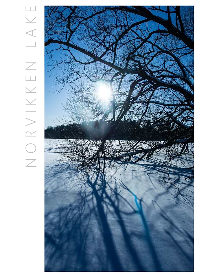 Norvikken Winter 2017 22