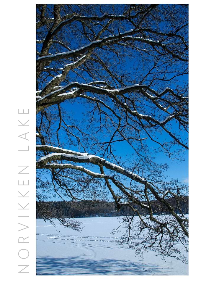 Norvikken Winter 2017 7