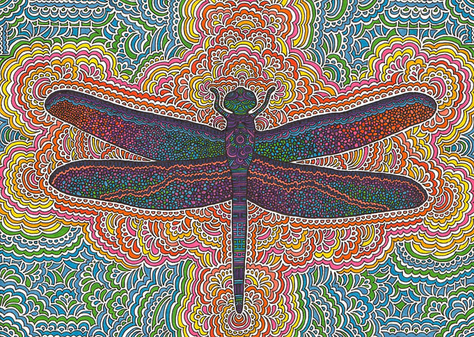 Dragonfly Drawing Meditation