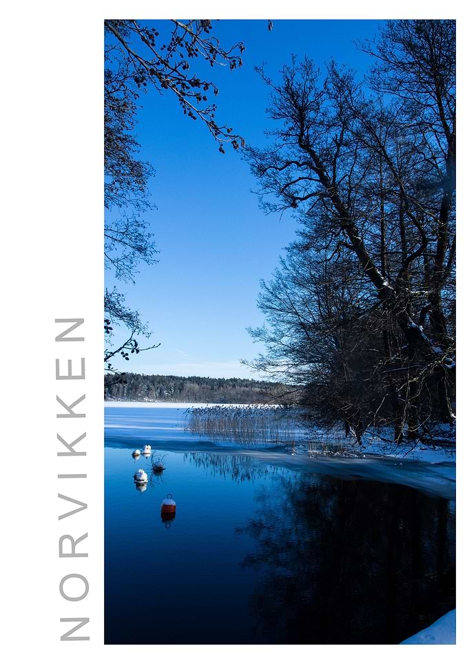 Norvikken Winter 2017 57