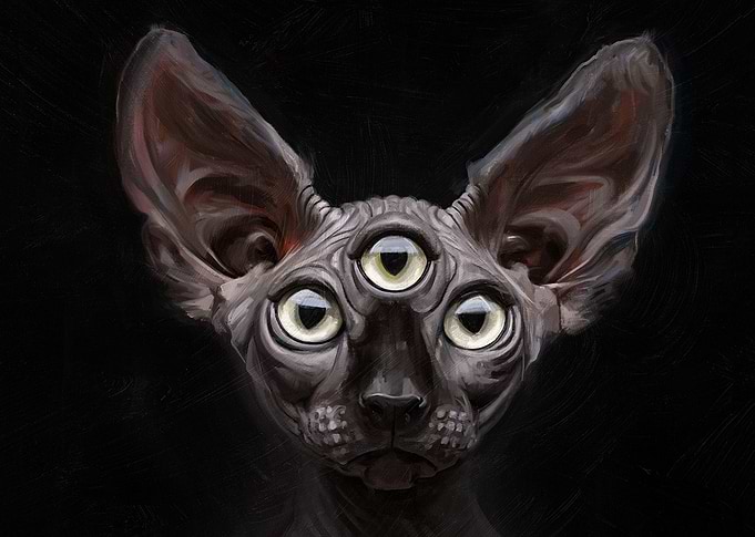 Riddle of The Sphinx