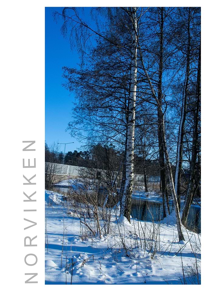 Norvikken Winter 2017 60