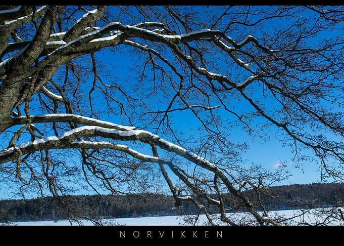 Norvikken Winter Landscapes 2017 9