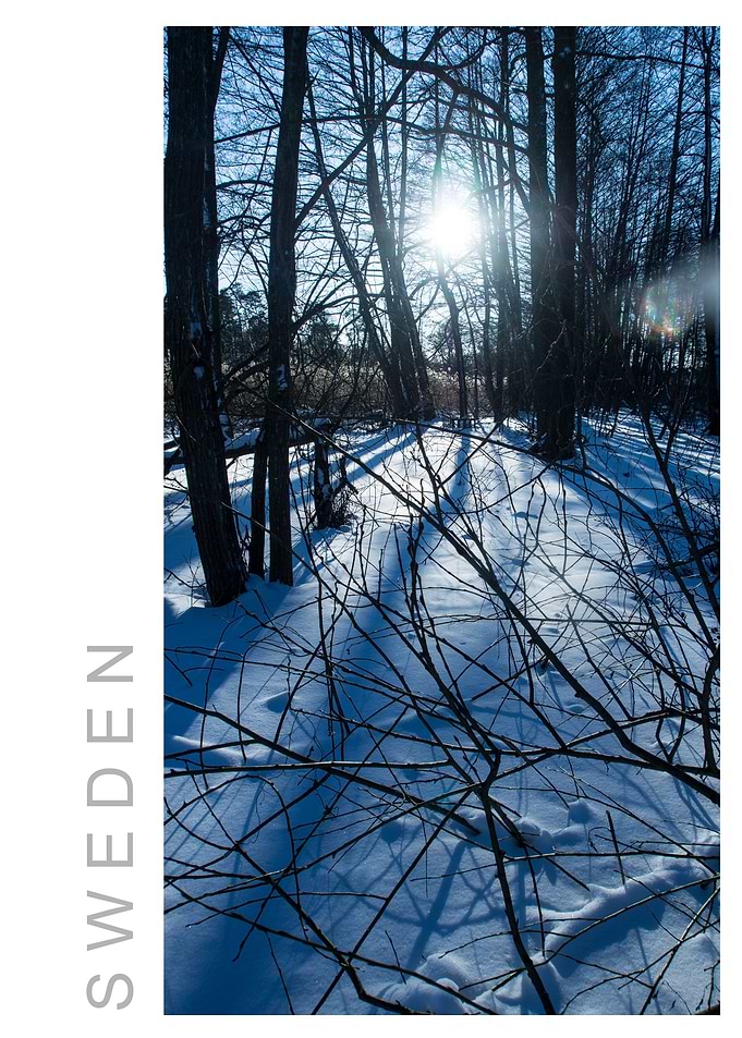 Norvikken Winter 2017 53