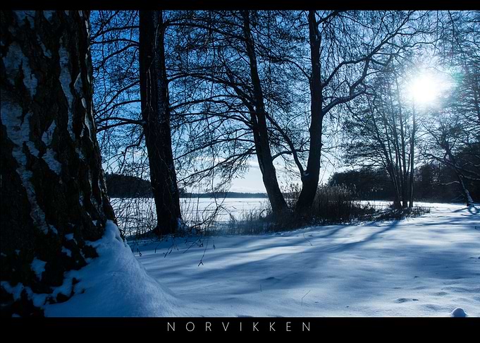 Norvikken Winter Landscapes 2017 10