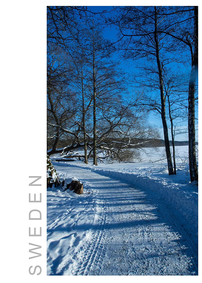 Norvikken Winter 2017 51