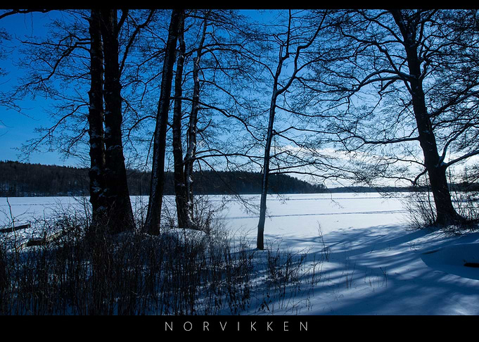 Norvikken Landscape 2017 1
